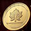 Canadian Tourism Excellence Award medal